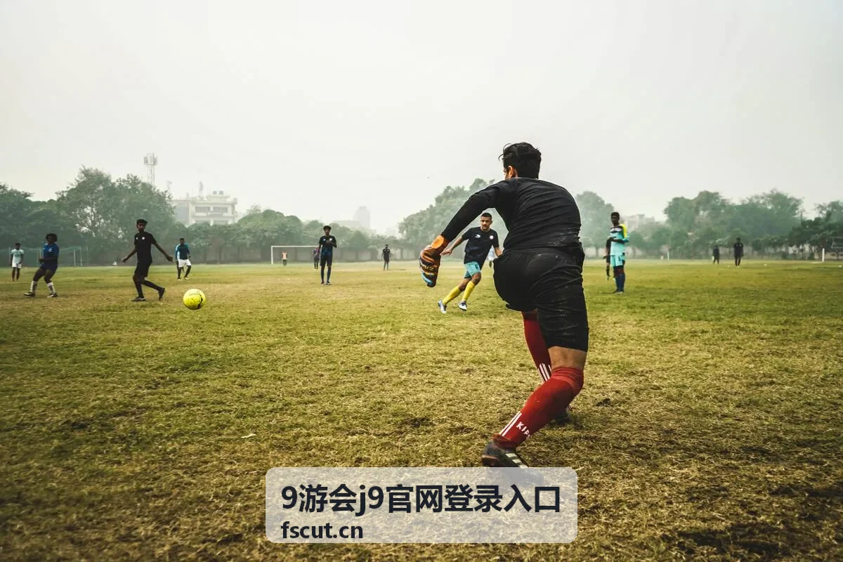 9游会J9官网登录入口账号安全验证示意图